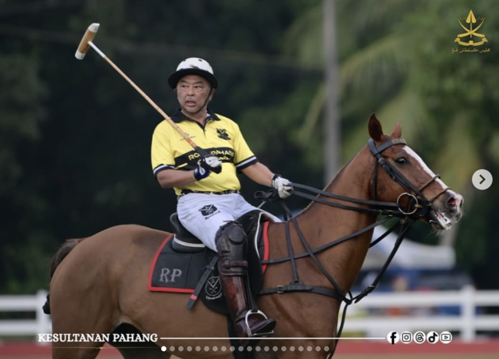 tengku muhammad iskandar
